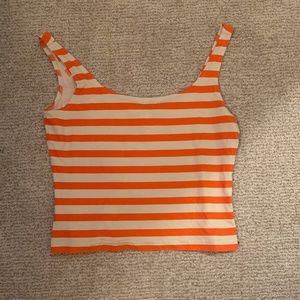 LBH Crop Top